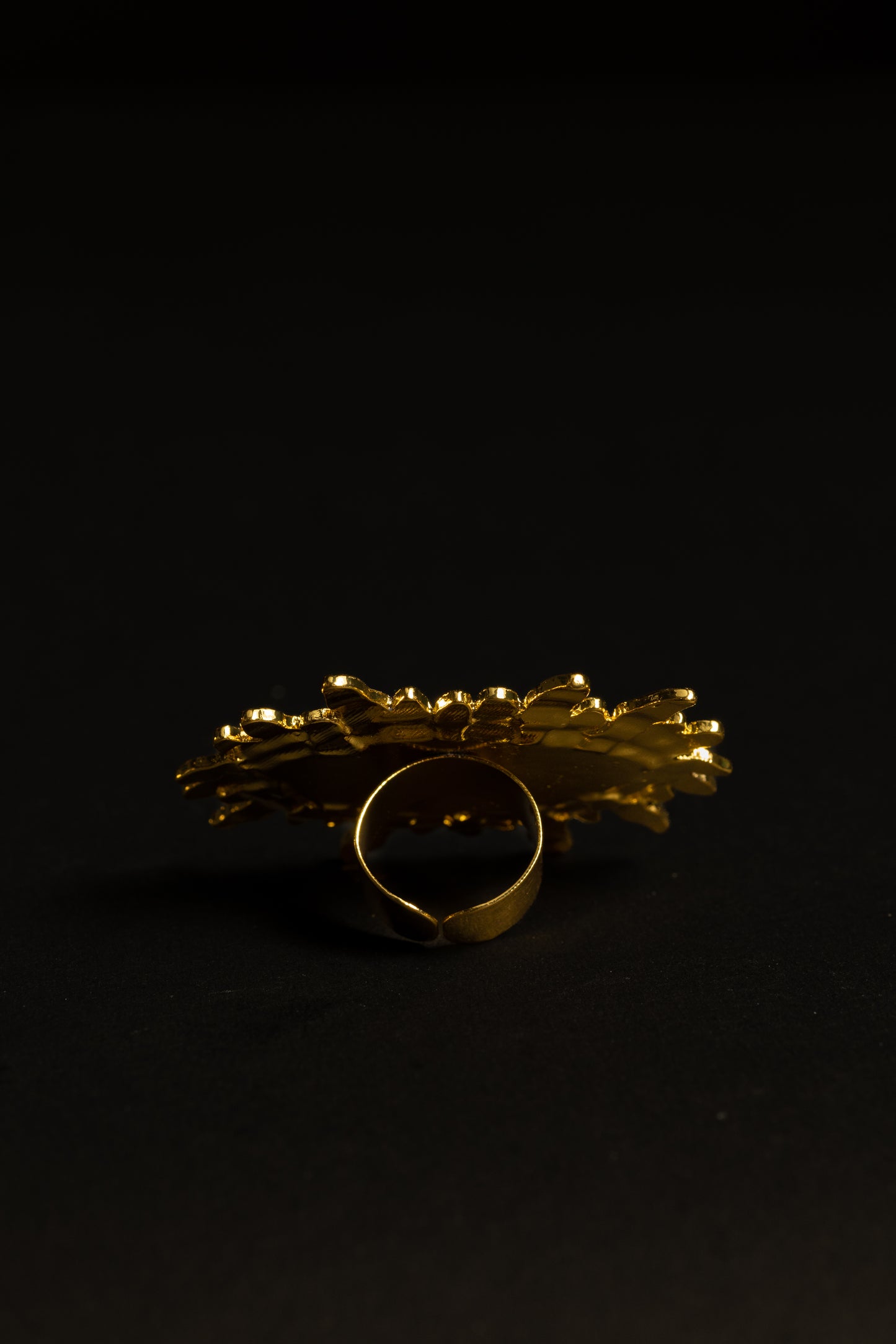 Enchanted Protector Ring