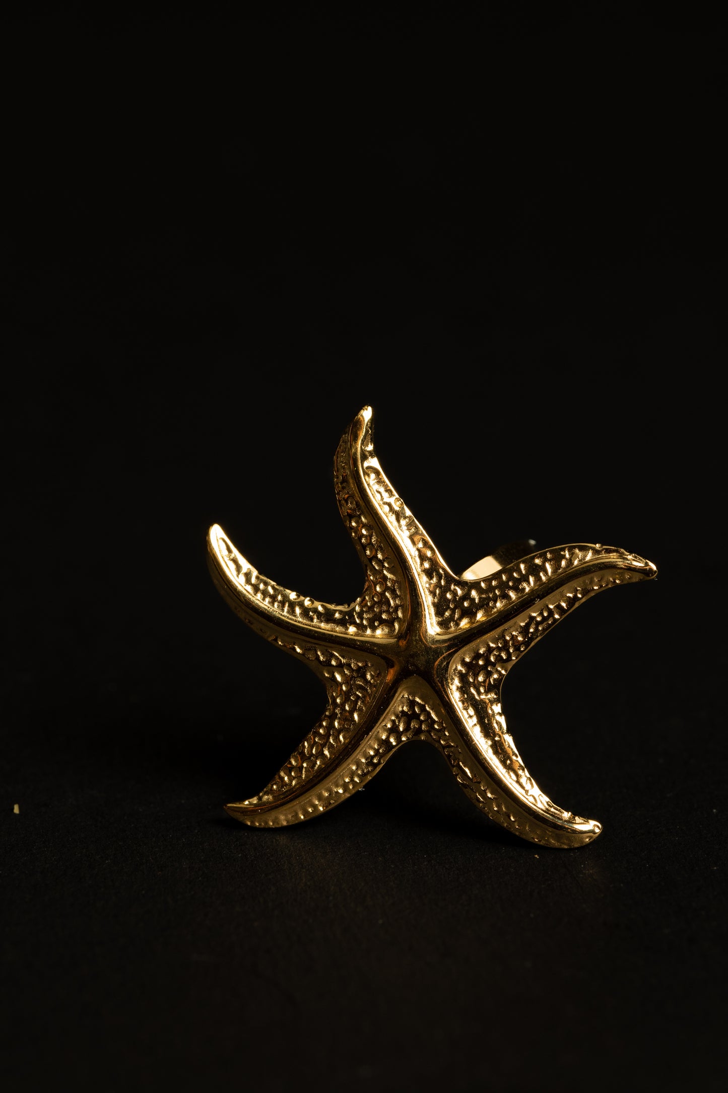 Marine Majesty Ring