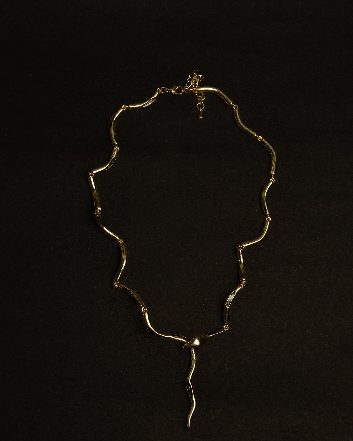 Mystic Coil Necklace
